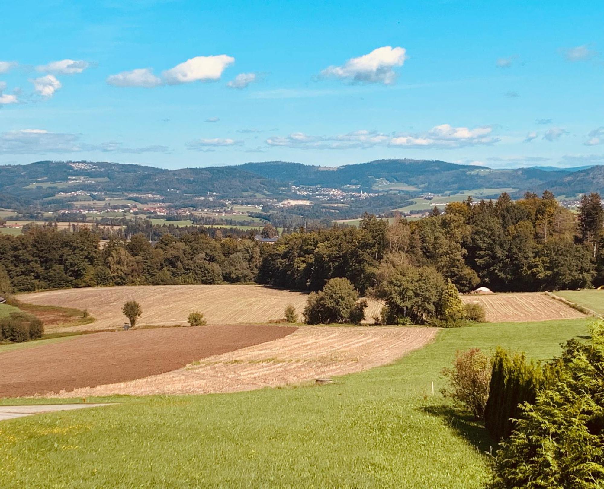 Adlerhorst, 4 Schlafzimmer, Blick In Die Alpen, Parkplatz Thyrnau Bagian luar foto